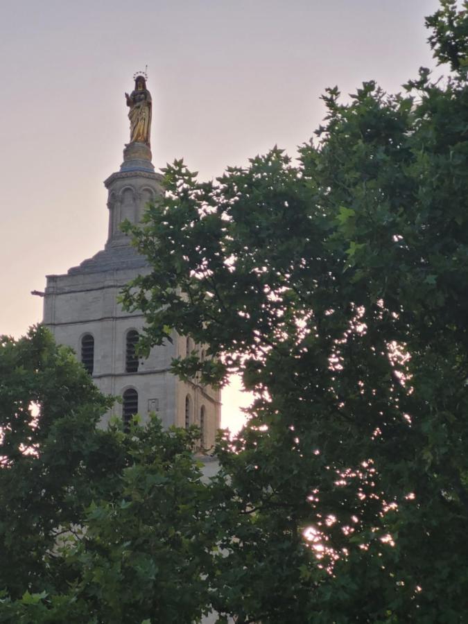 Un Nid Sur Les Toits Face Au Palais Des Papes Apartamento Avinhão Exterior foto