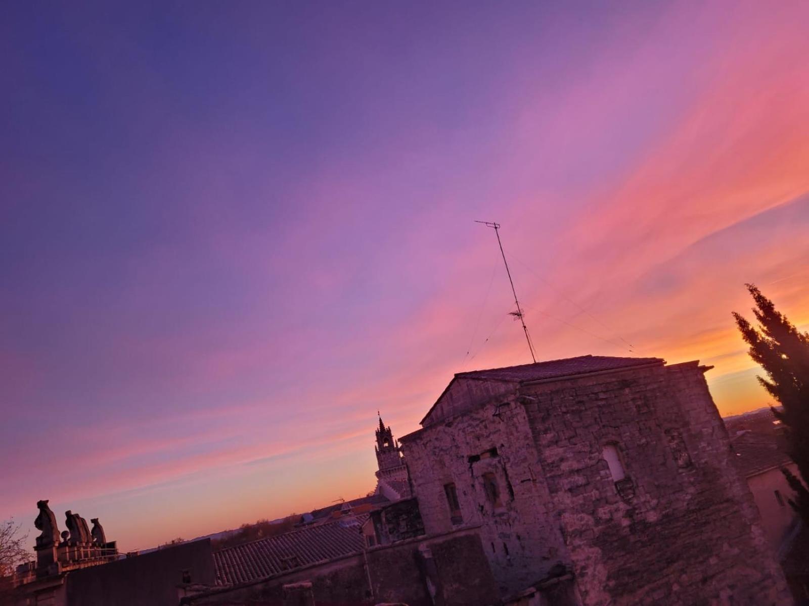 Un Nid Sur Les Toits Face Au Palais Des Papes Apartamento Avinhão Exterior foto
