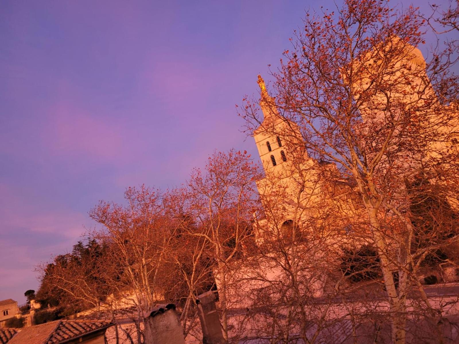 Un Nid Sur Les Toits Face Au Palais Des Papes Apartamento Avinhão Exterior foto