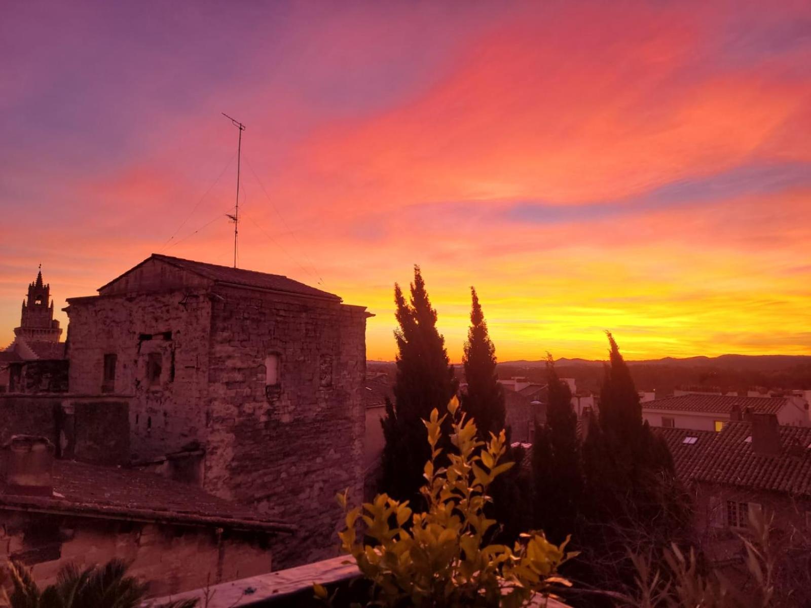 Un Nid Sur Les Toits Face Au Palais Des Papes Apartamento Avinhão Exterior foto